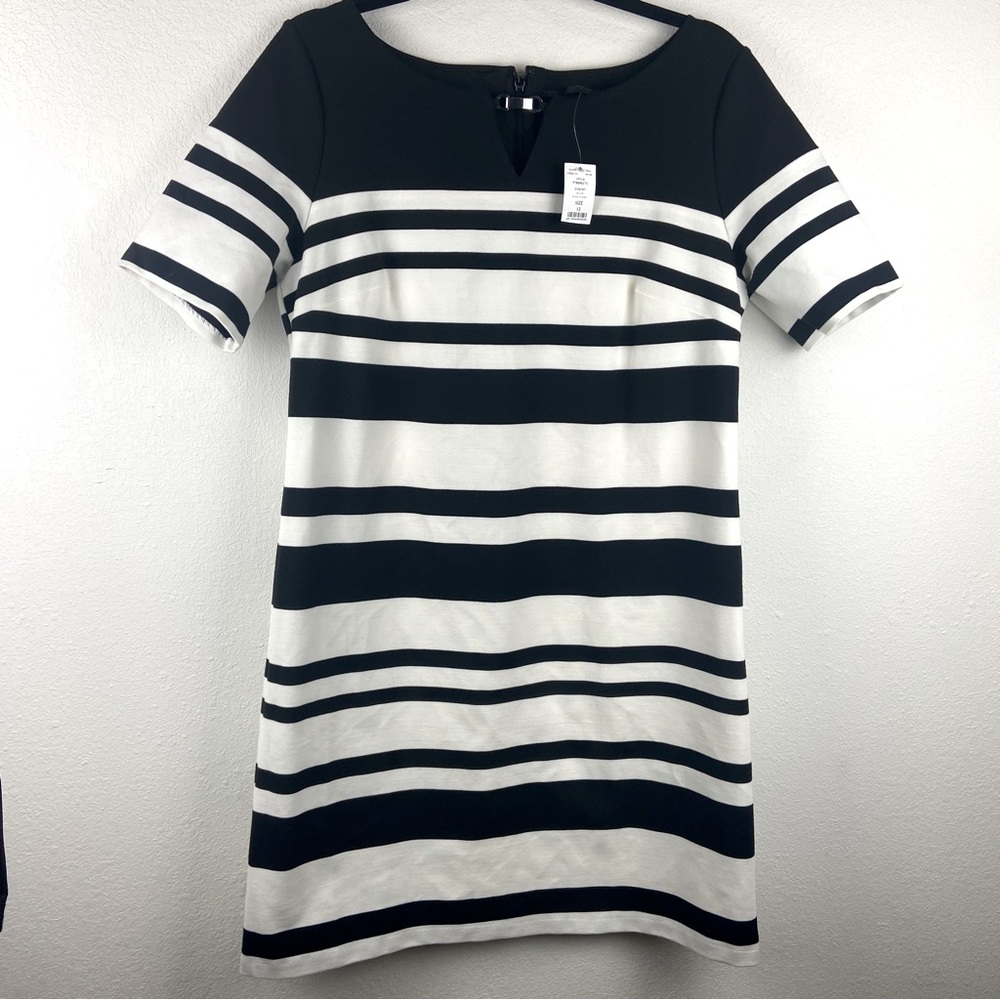NWT WHITE HOUSE BLACK MARKET ecru & black stripe shift dress size 12
